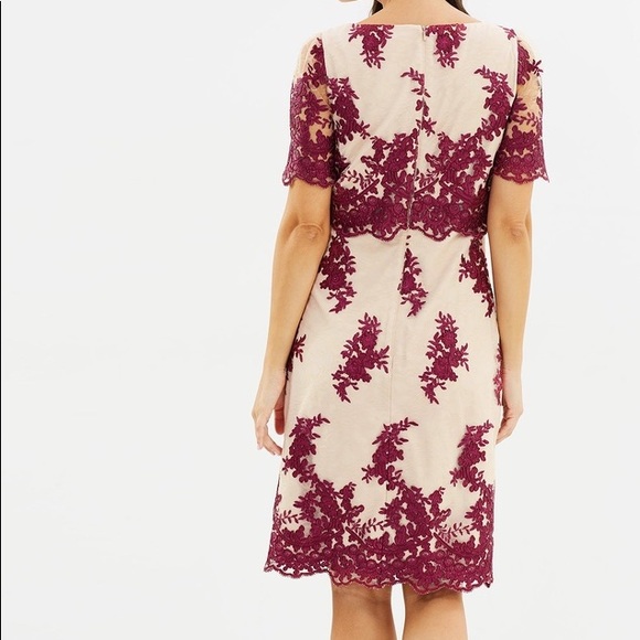 REVIEW | Heavenly Lace Dress - Berry & Champagne | AU 12 - Picture 3 of 12